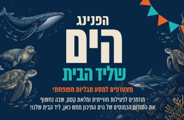 יש עולם שלם שמסתתר ממש מול החוף... ואתם מוזמנים לגלות אותו. למשך ערב אחד יהפוך חוף הים בנתניה למתחם ענק של הרפתקאות, משחקים, סיורים ותגליות לכל המשפחה.